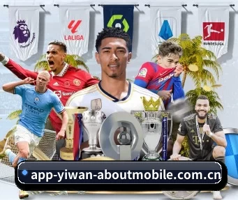 亿万28网页版登录 APP 界面