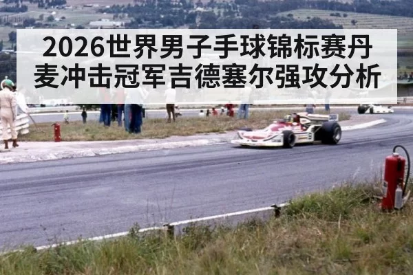 2026世界男子手球锦标赛丹麦冲击冠军吉德塞尔强攻分析